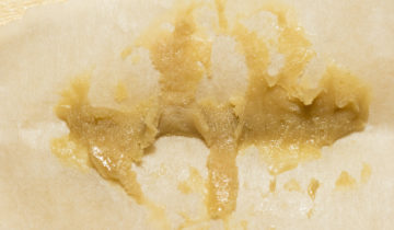 What is Rosin and Why is it Taking Over?