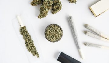Blunt vs Joint – What’s The Difference and Why Does it Matter?