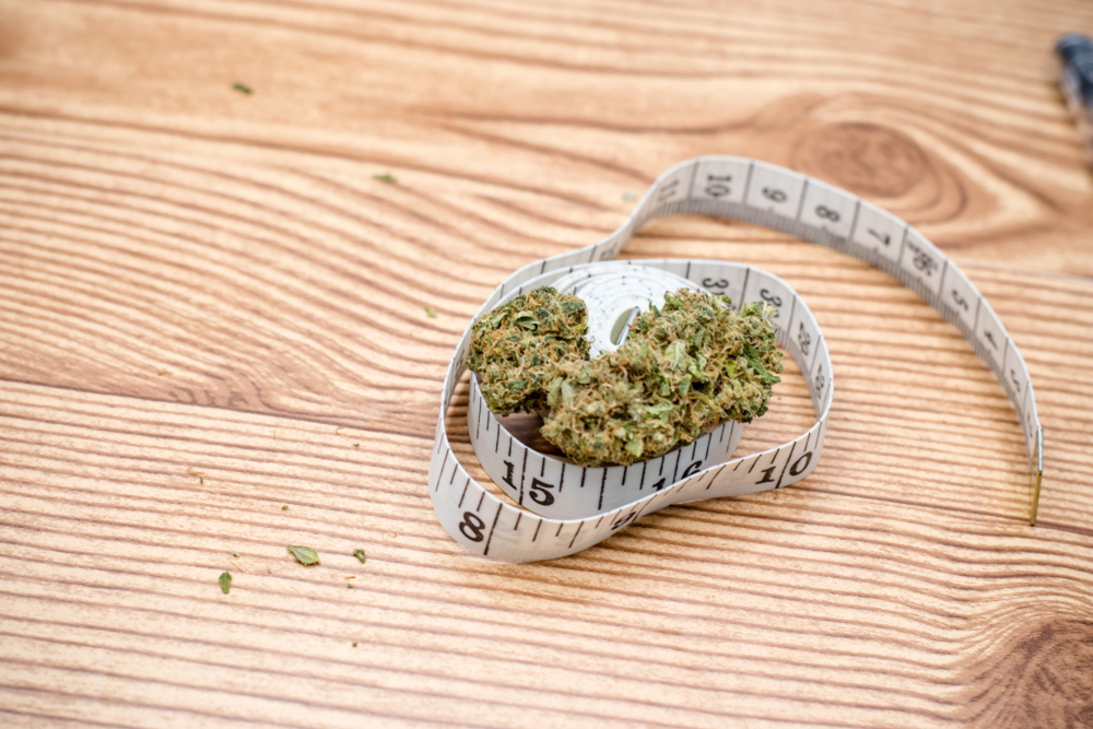 Cannabis and Weight Loss