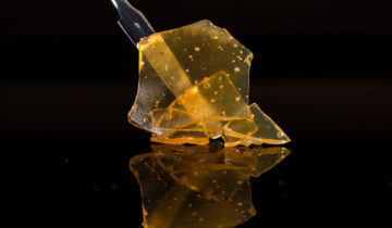 Rosin vs Shatter – Which Concentrate is Right For You?