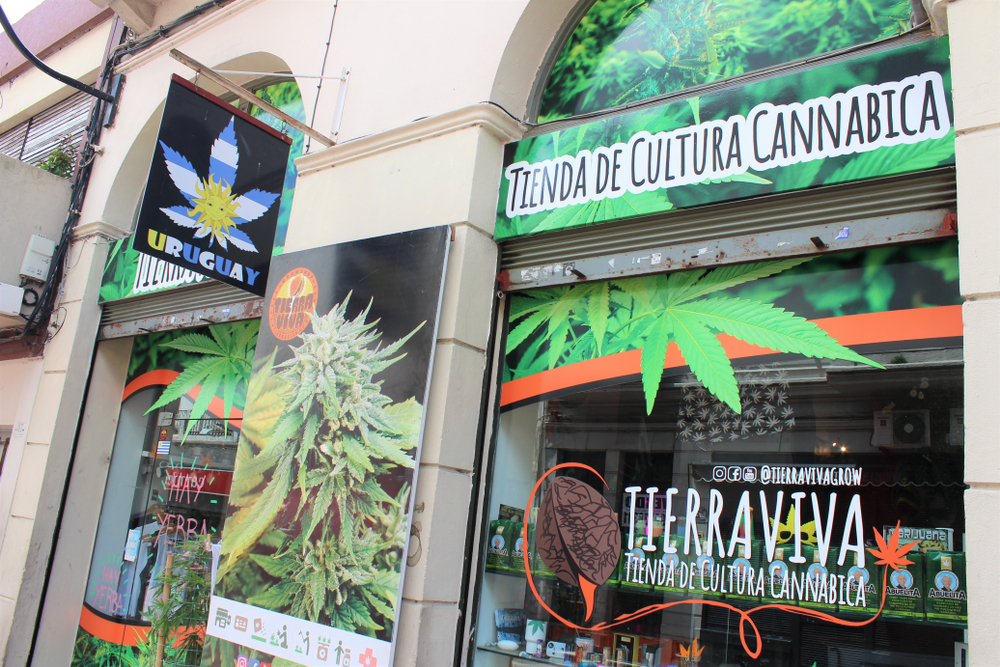 uruguay weed tourist