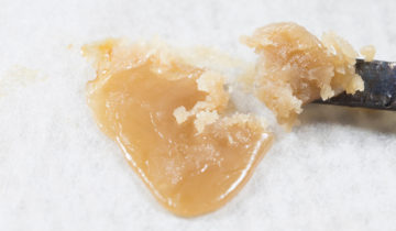 Budder – Breaking Down a Classic Concentrate