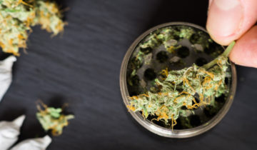 How to Grind Weed Without a Grinder in 5 Easy Ways