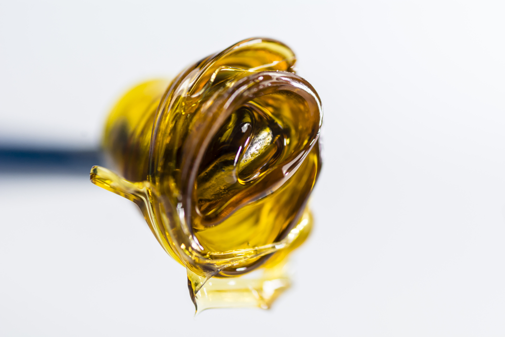 cannabis extracts butane hash oil