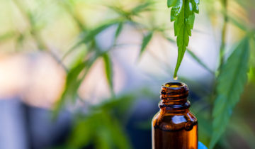 How to Take CBD Oil – Ways & Formats